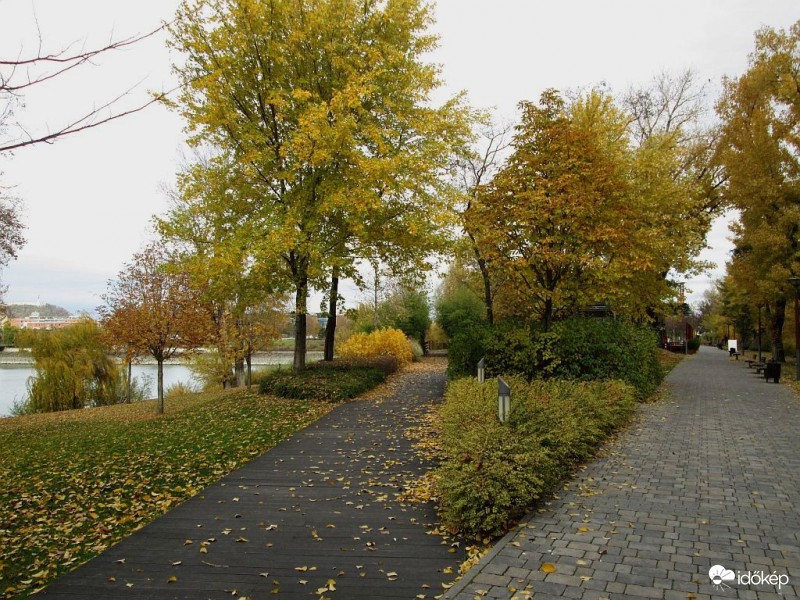 Melyik úton menjek...