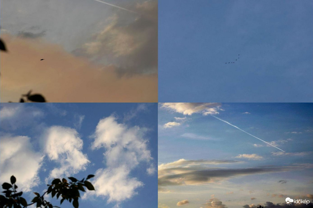 Budapest XI. kerület