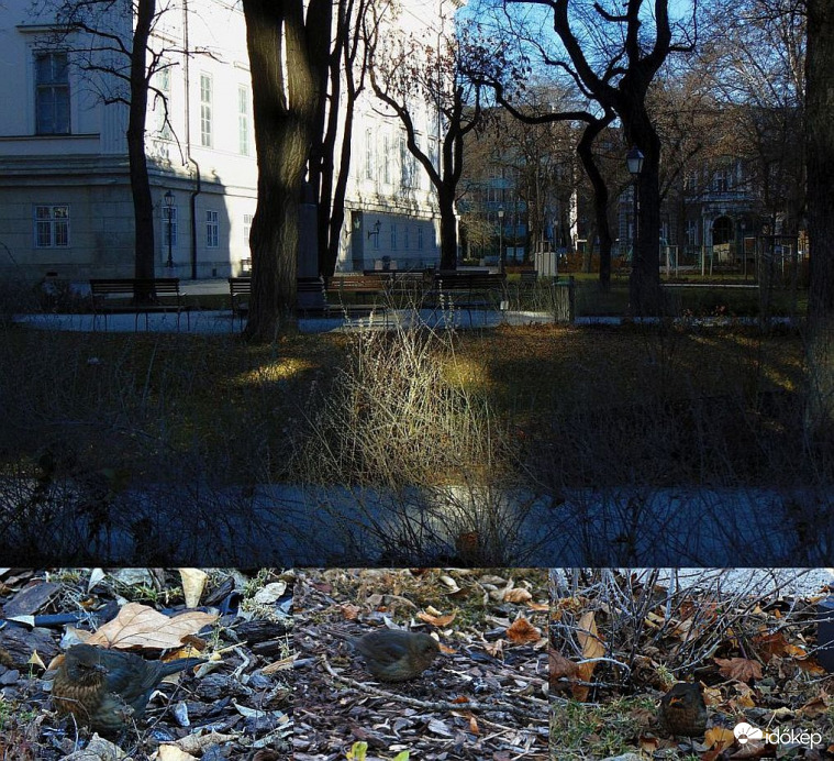 Aki keres, az talál..