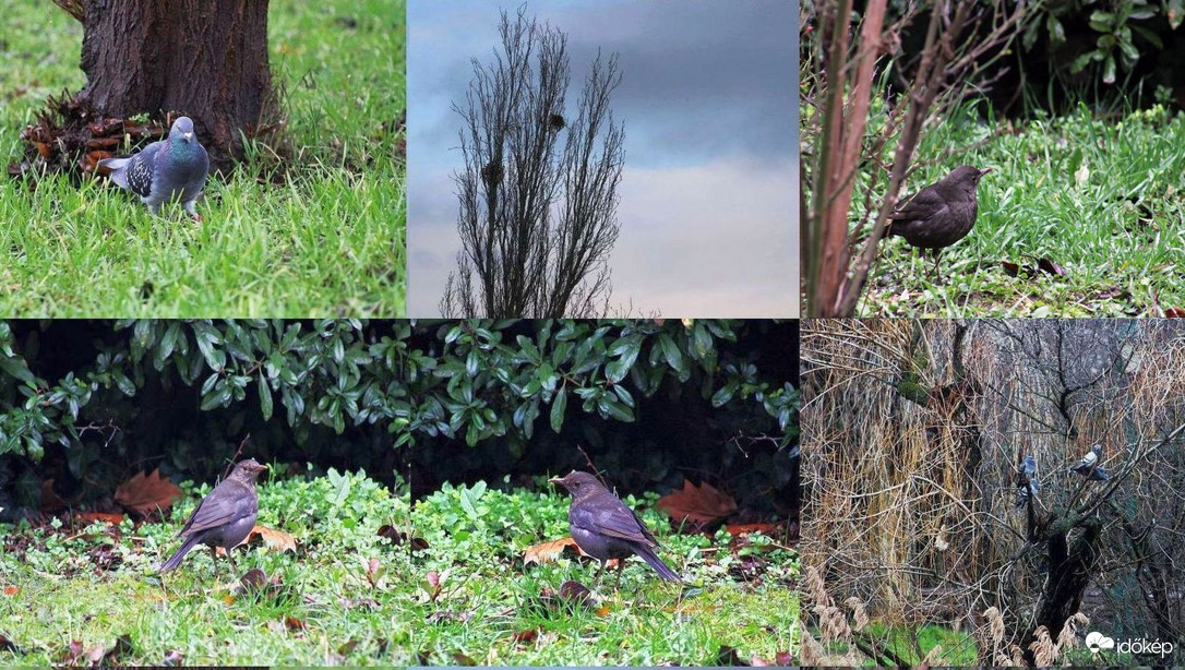 Budapest XI. kerület