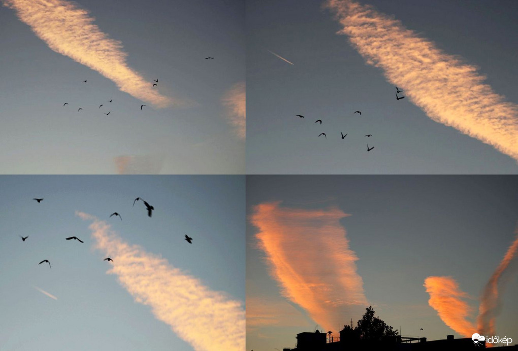 Budapest XI. kerület