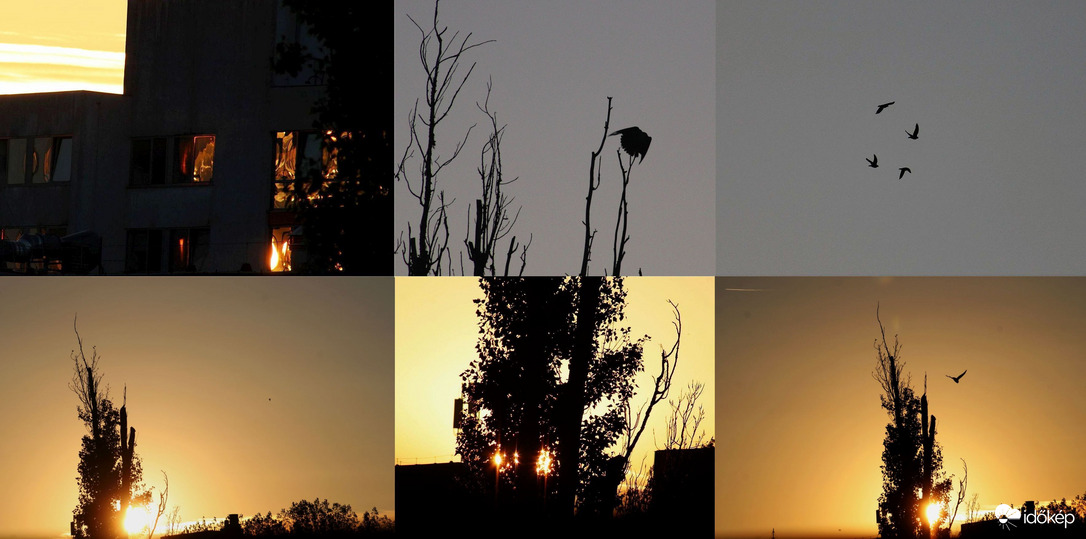 Budapest XI. kerület