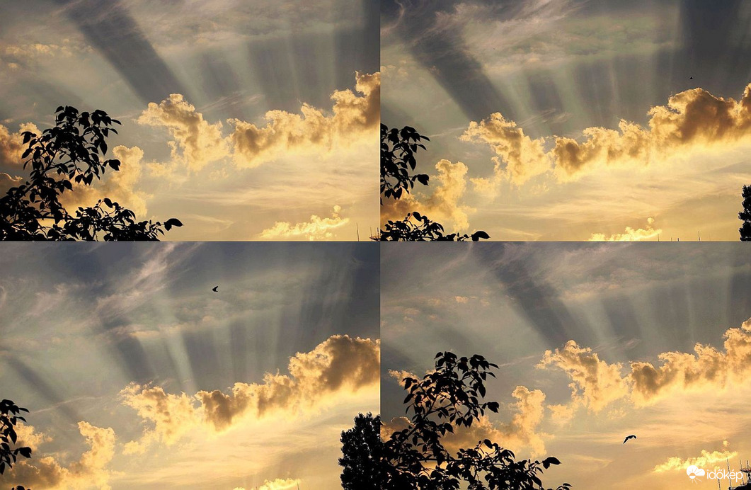 Budapest XI. kerület