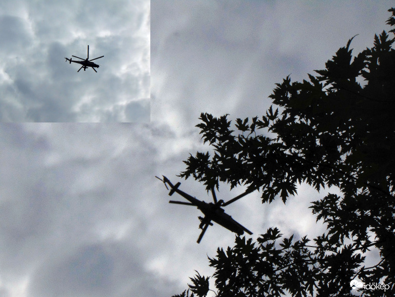 Délelőtti repkedők