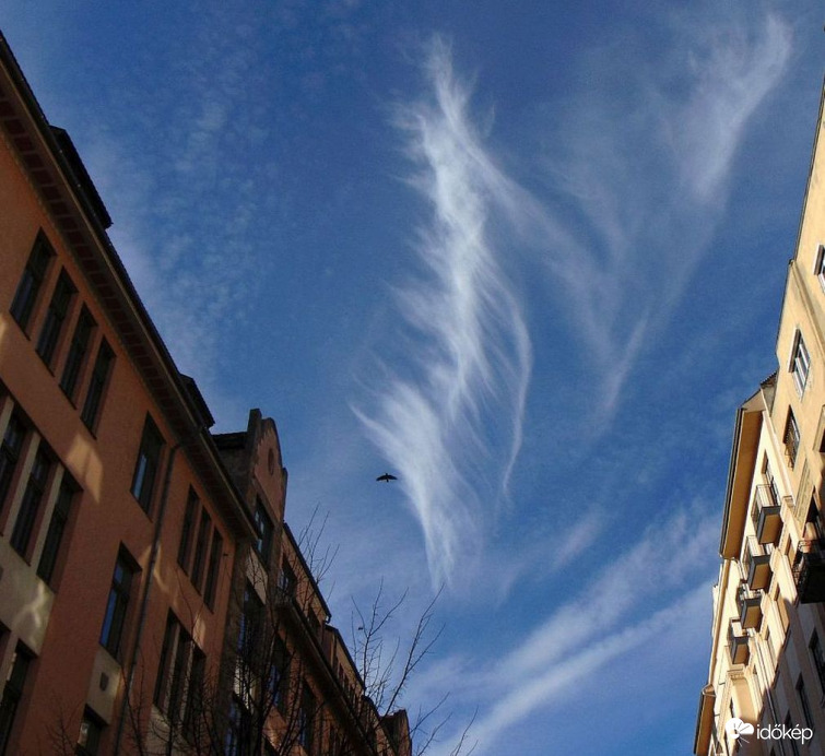 Budapest XI. kerület