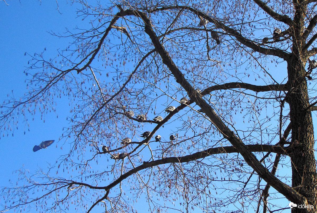 Mindenki szeretett napozófája