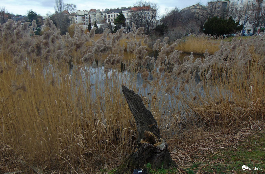 Budapest XI. kerület