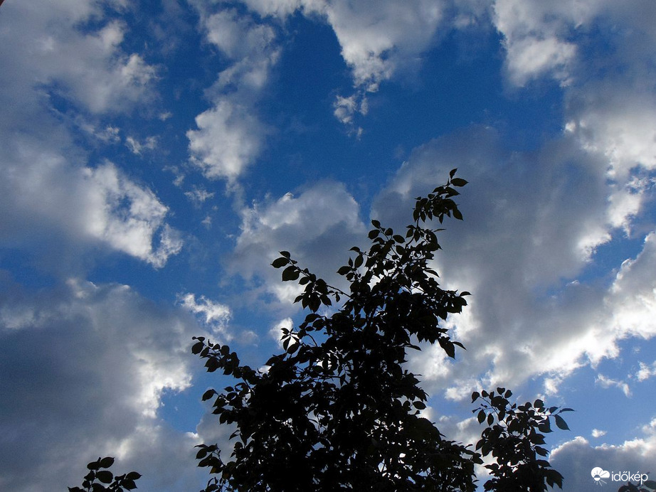 Budapest XI. kerület