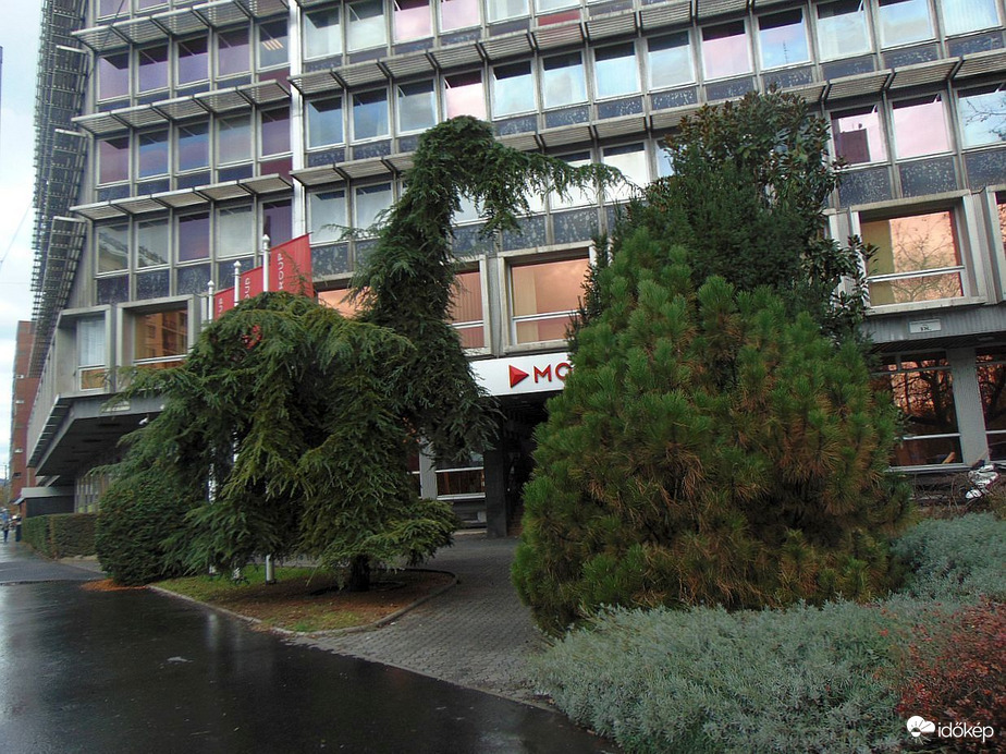 Örzővédő szolgálat:D