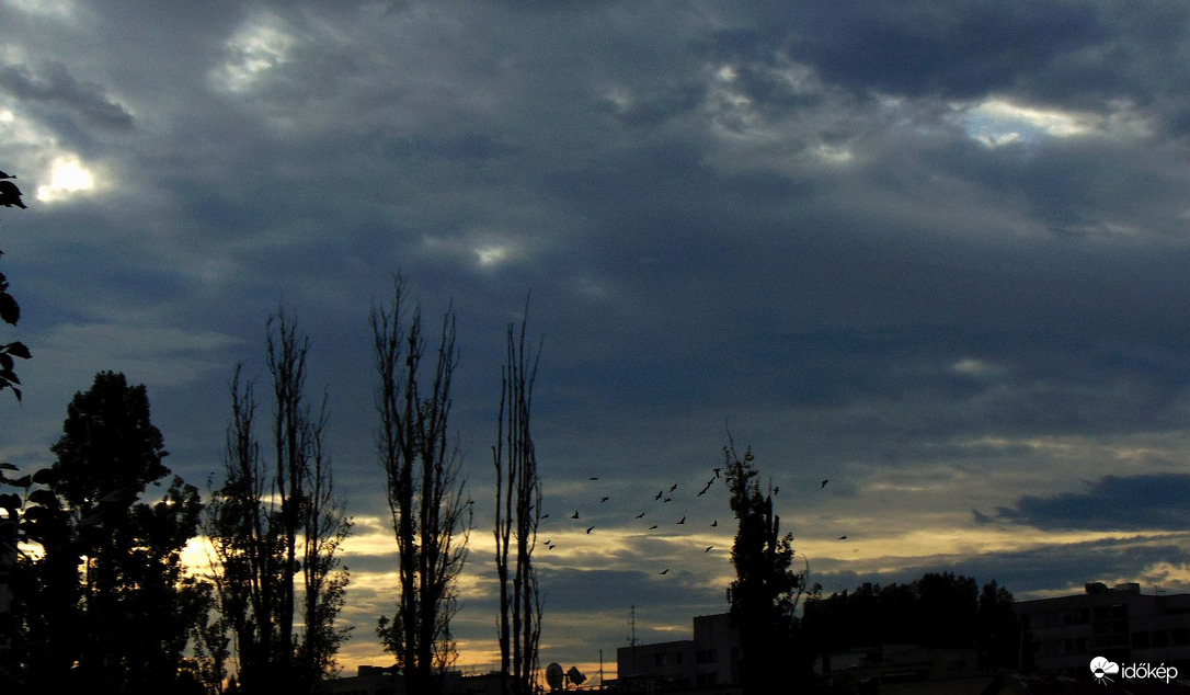 Budapest XI. kerület