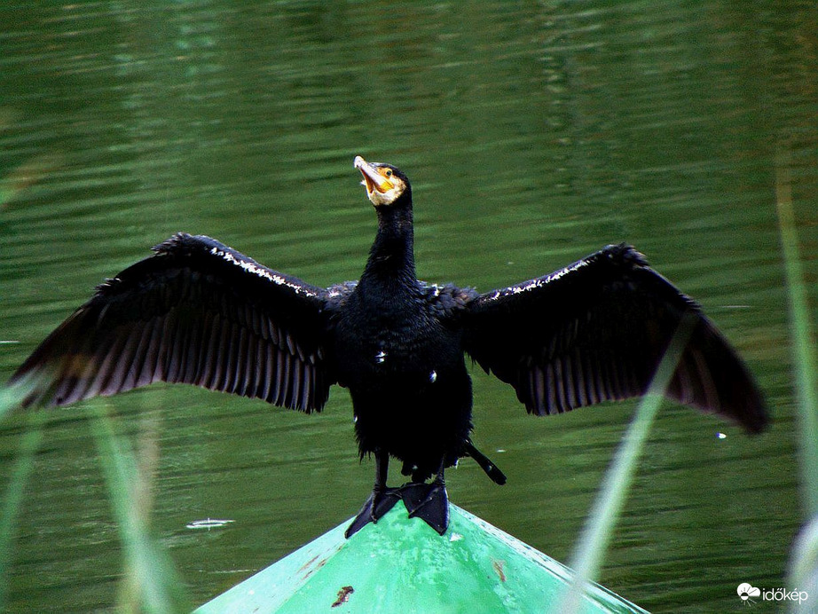 "Ma végre jó a kedvem.."