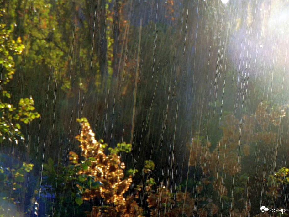 Budapest XI. kerület