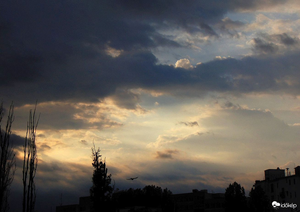 Budapest XI. kerület