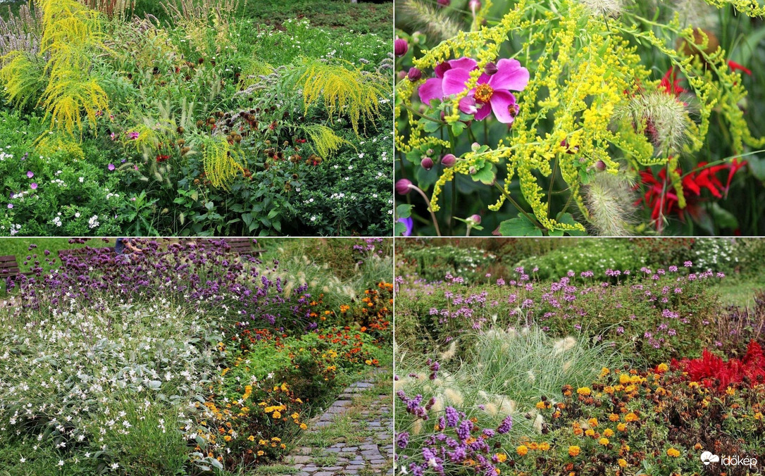 Park virágai
