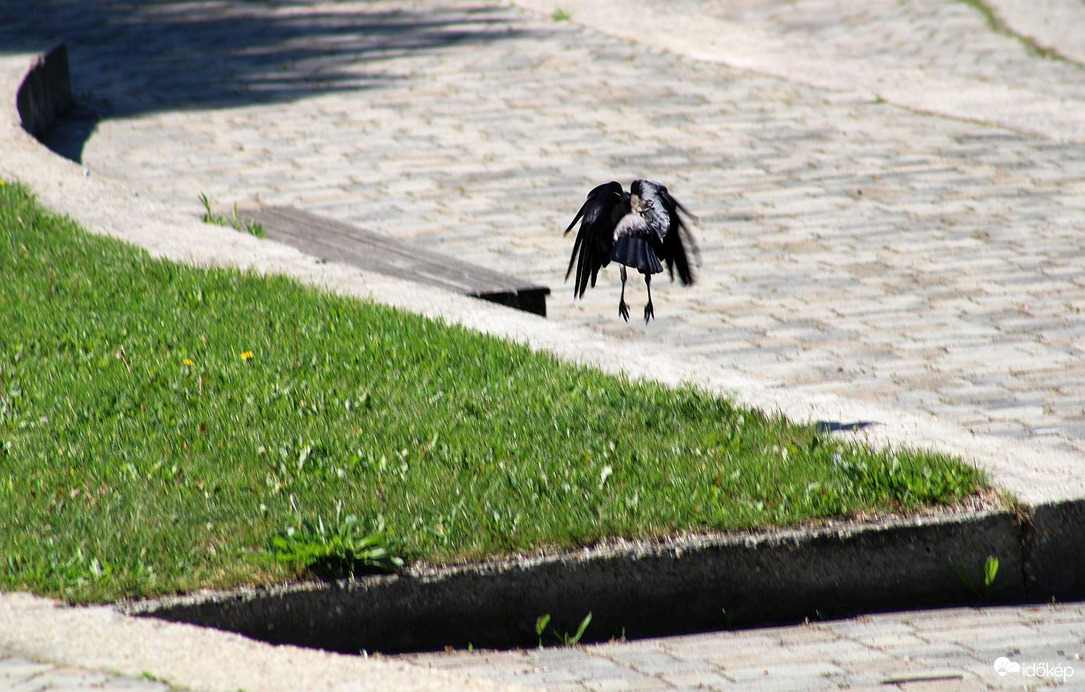 Boszorkányos péntek