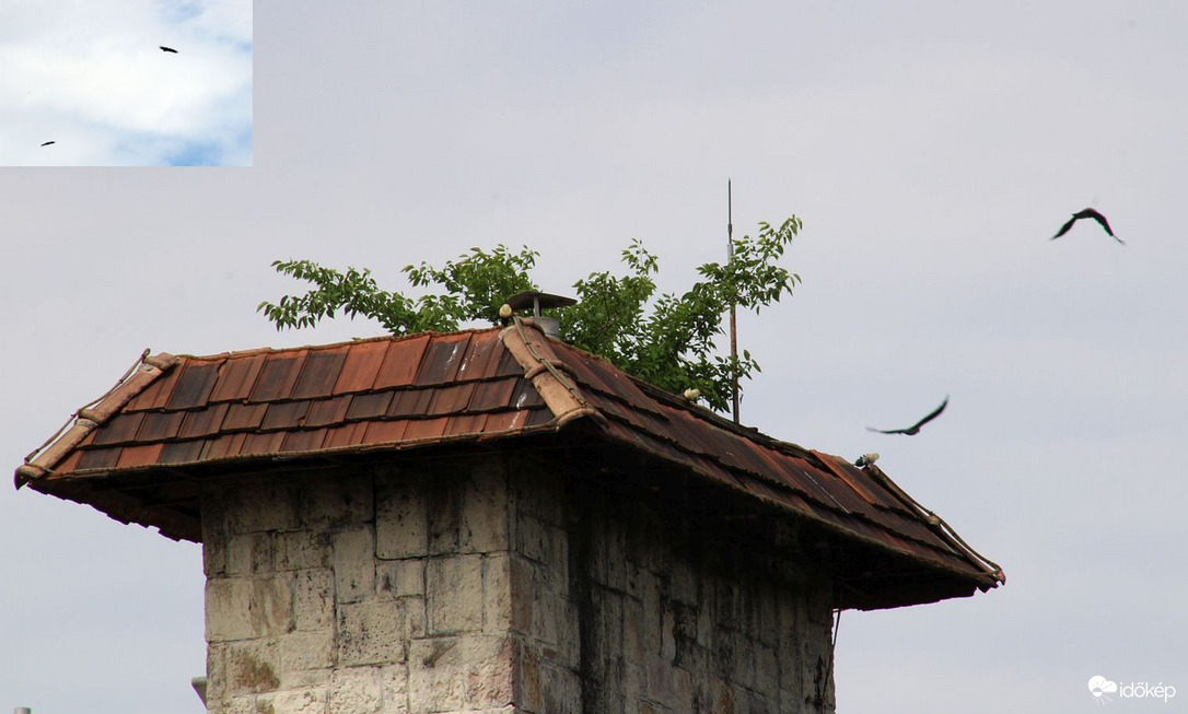 Jó helyet választottak