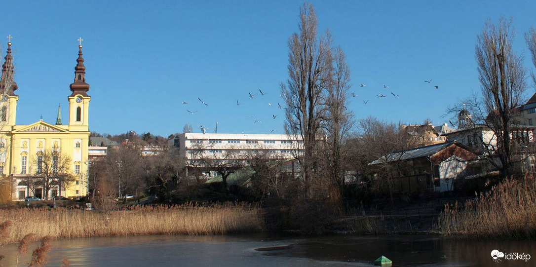 Budapest XI. kerület