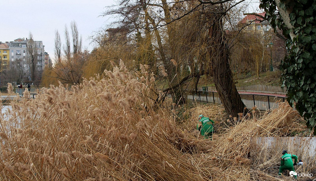 Éves karbantartás(a Feneketlen-tónál)