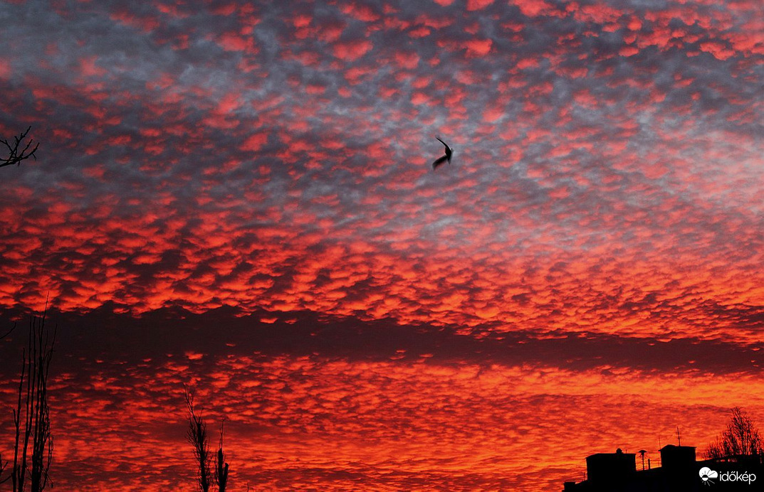 Budapest XI. kerület