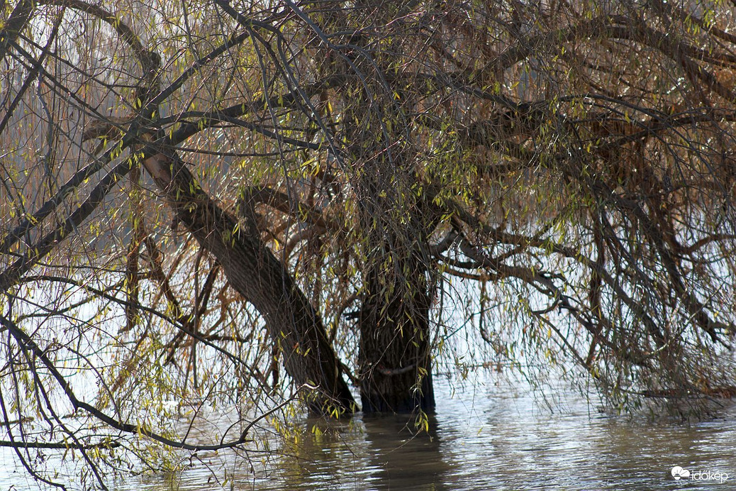 Vízállás jelentés (2)