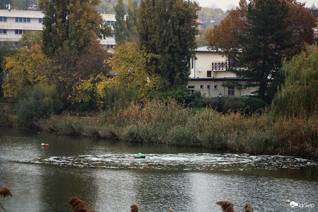 Budapest XI. kerület