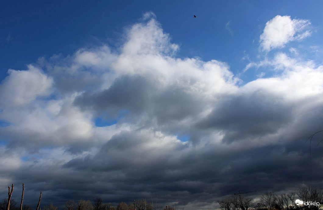 Délelőtti vonulók