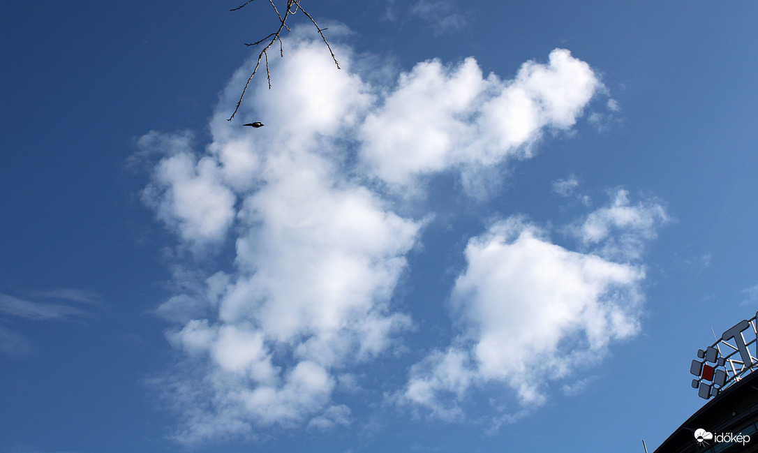 Budapest XI. kerület