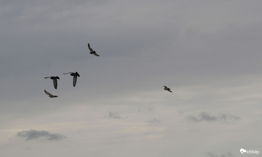 Budapest XI. kerület