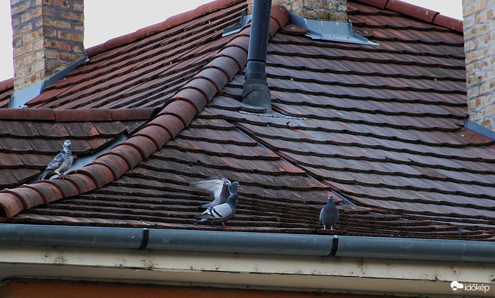 Ellenőrzés a háztetőn