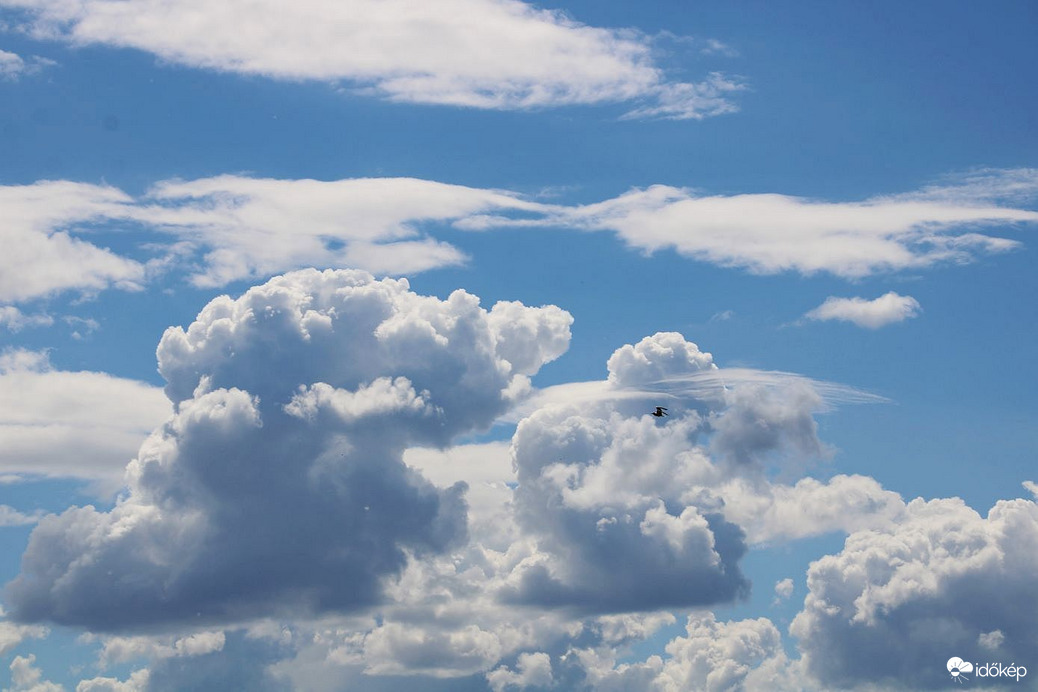 Budapest XI. kerület