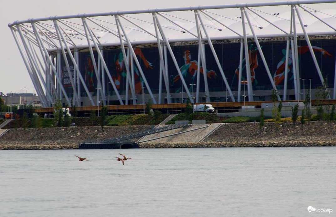 Közeleg az atlétikai vb kezdési időpontja (2023.08.19)