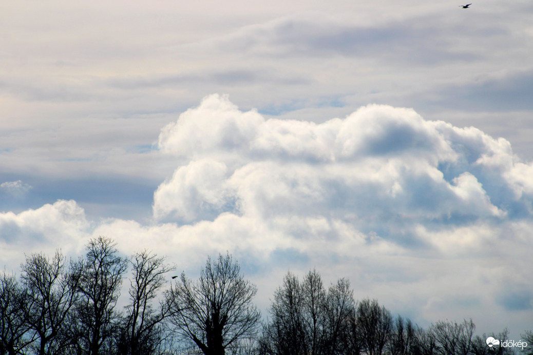 Budapest XI. kerület