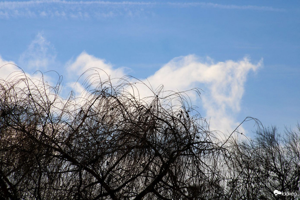 Budapest XI. kerület