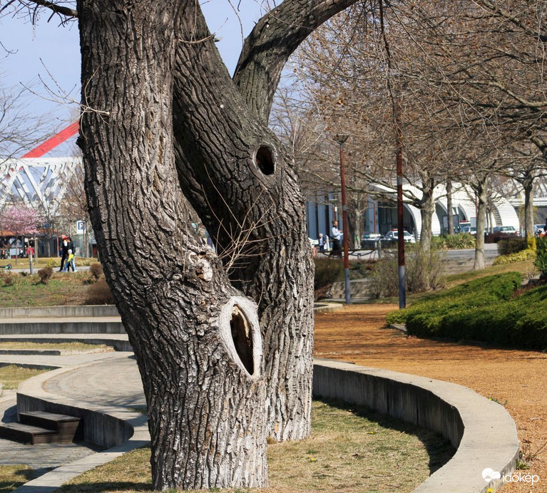 Házastársak egymás között