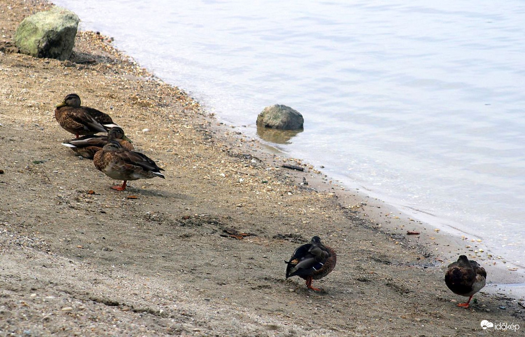 Budapest XI. kerület