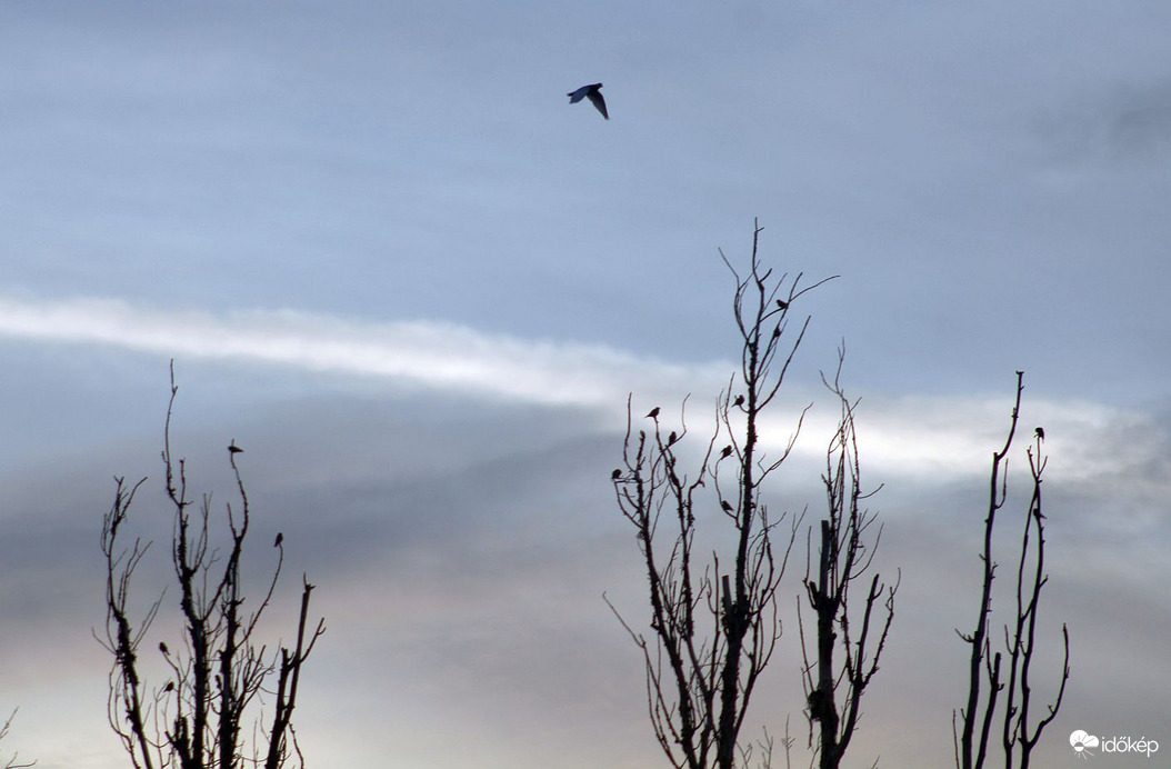 Budapest XI. kerület