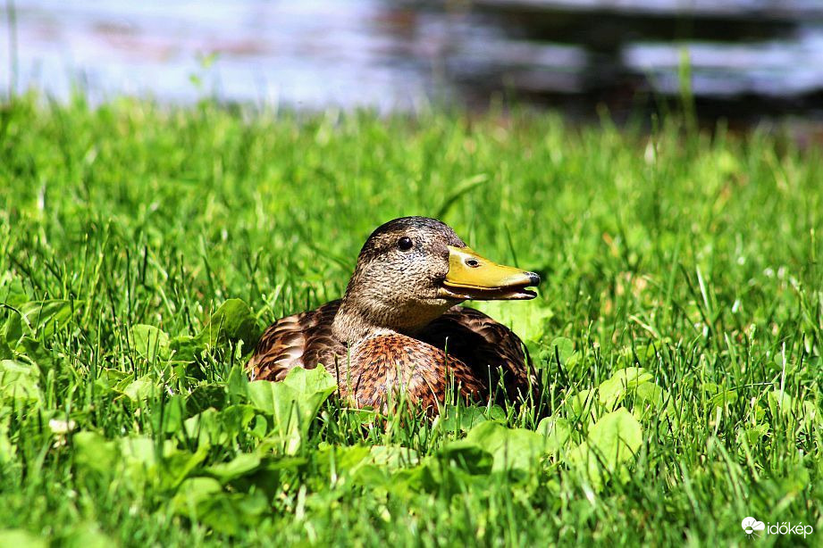 Jót beszélgettünk...D
