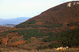 Látkép a Zsíros hegyről