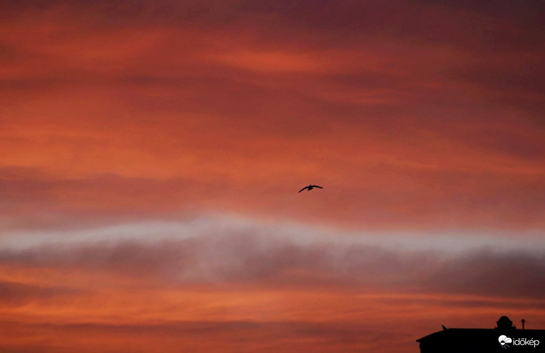 Budapest XI. kerület