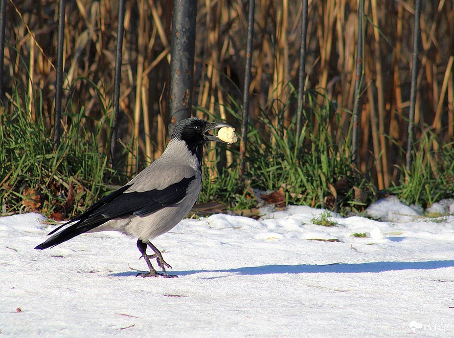 Én is kaptam ajándékot,
