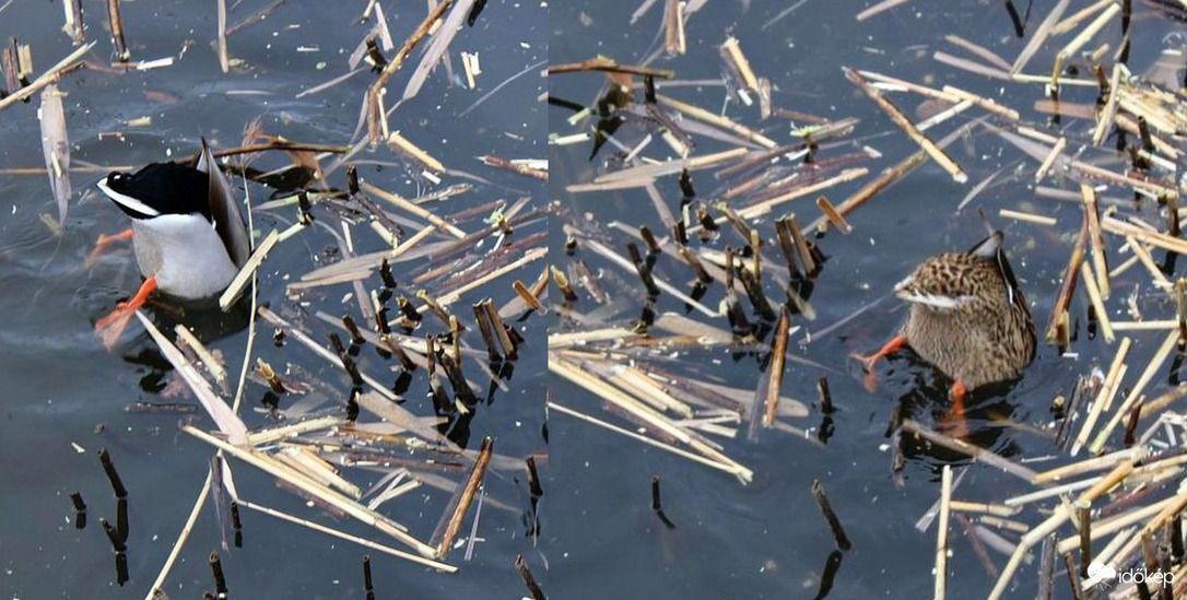 A karbantartás pillanatnyi haszonélvezői