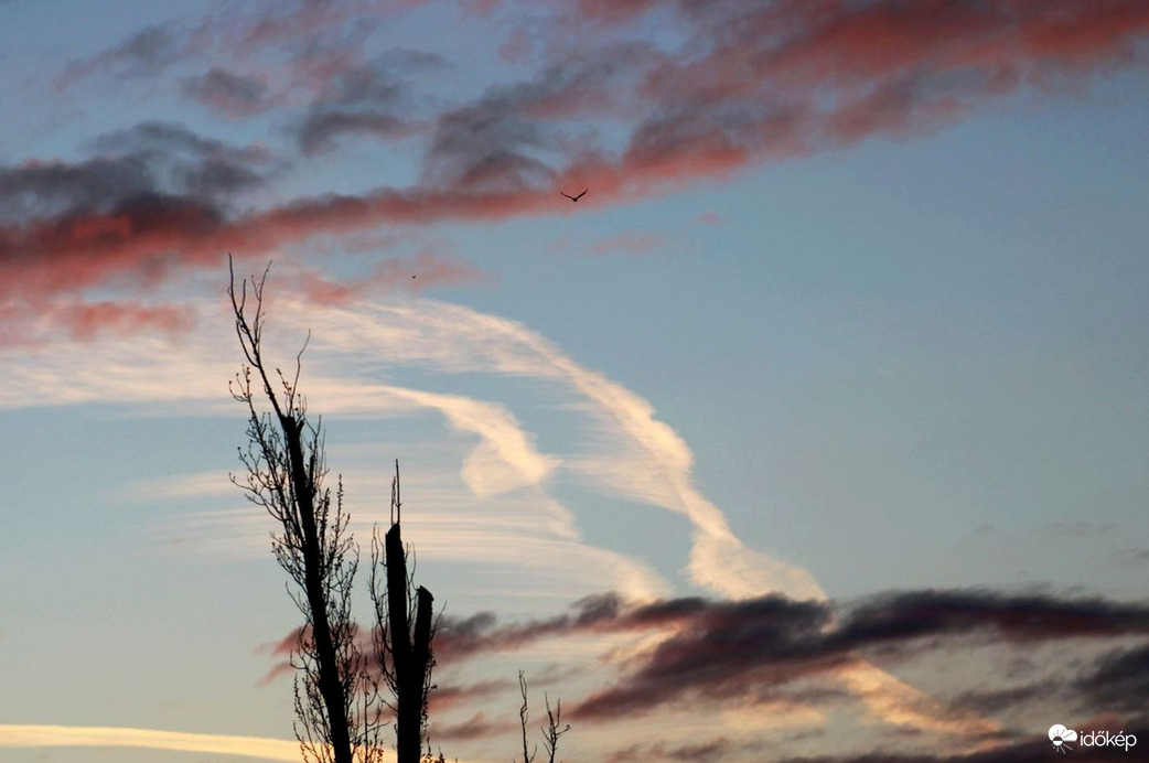 Budapest XI. kerület