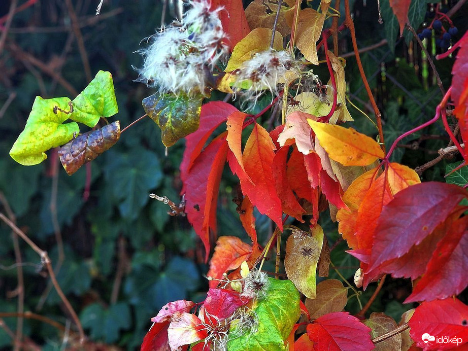 Az utolsó pillanatok...