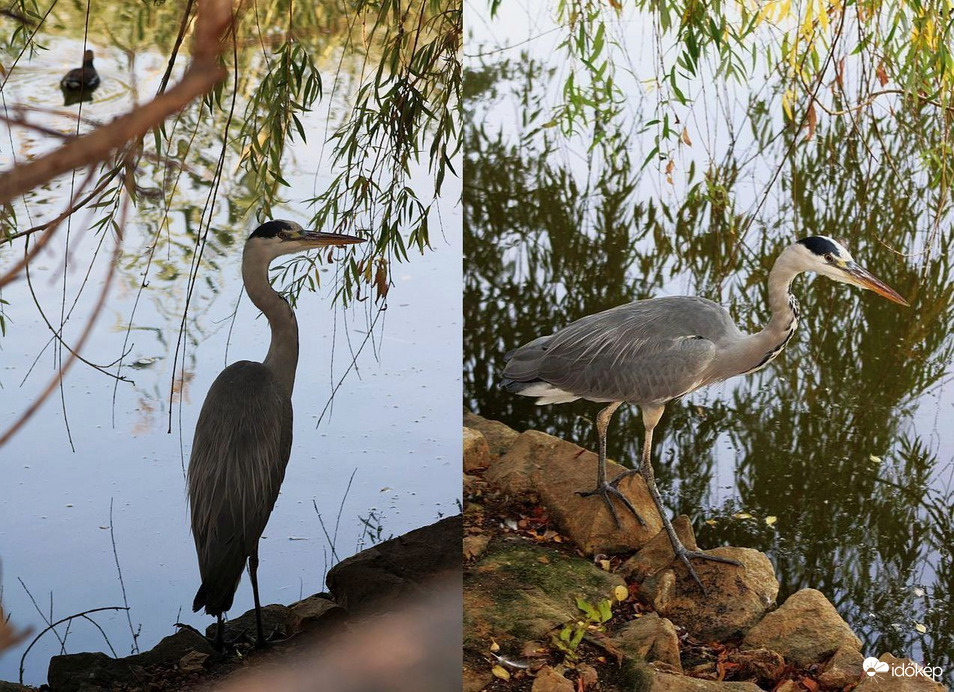 Ma a parton találkoztunk