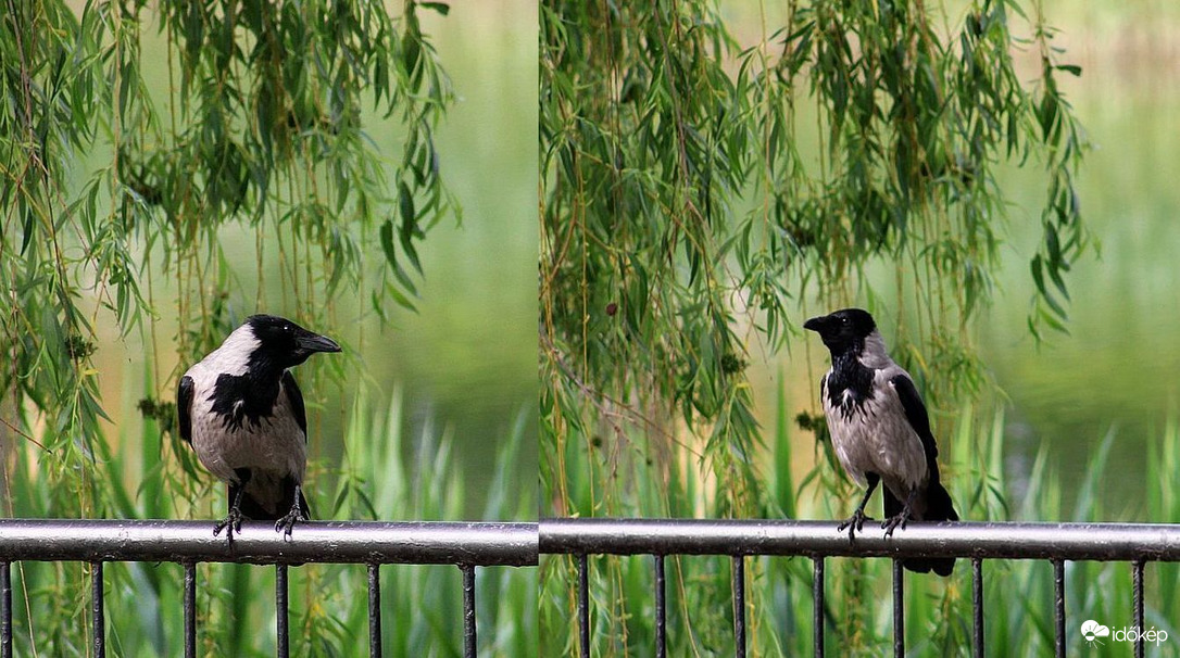 Egyeztessük álláspontjainkat!