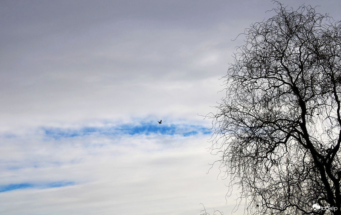 Budapest XI. kerület