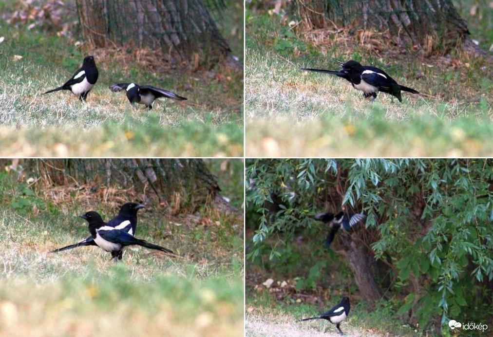 "Tudni illik, hogy mi illik"