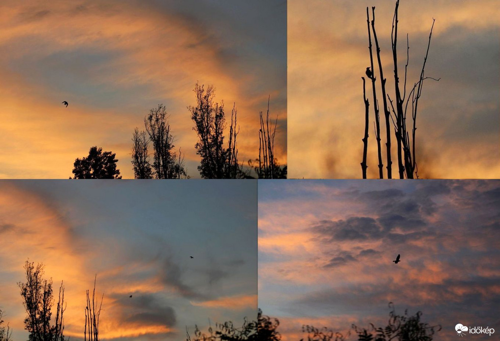 Budapest XI. kerület