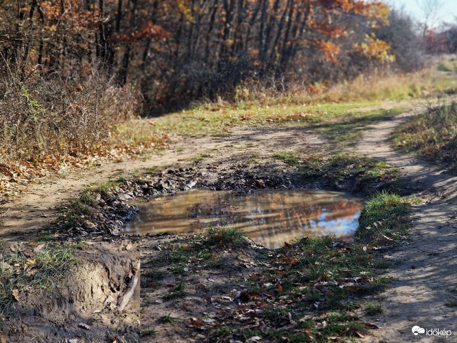 Vaddiszó lábnyomok