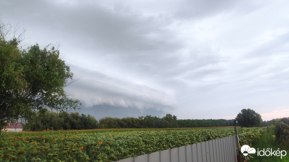 Észlelési fényképek